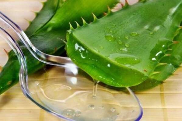 Jus aloe kanggo erek anu kuat